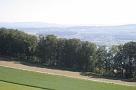leutwil_07_019