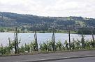 leutwil_08_018