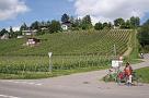 leutwil_08_019