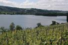 leutwil_08_020