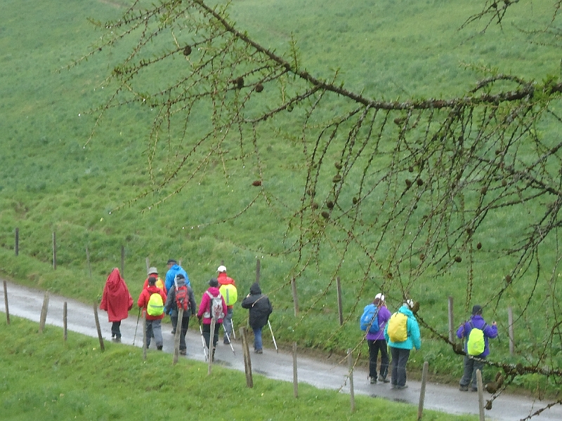 2013 - Frühjahr - neu 385