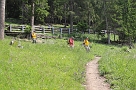 IMG_3445