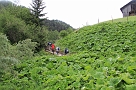 IMG_3495