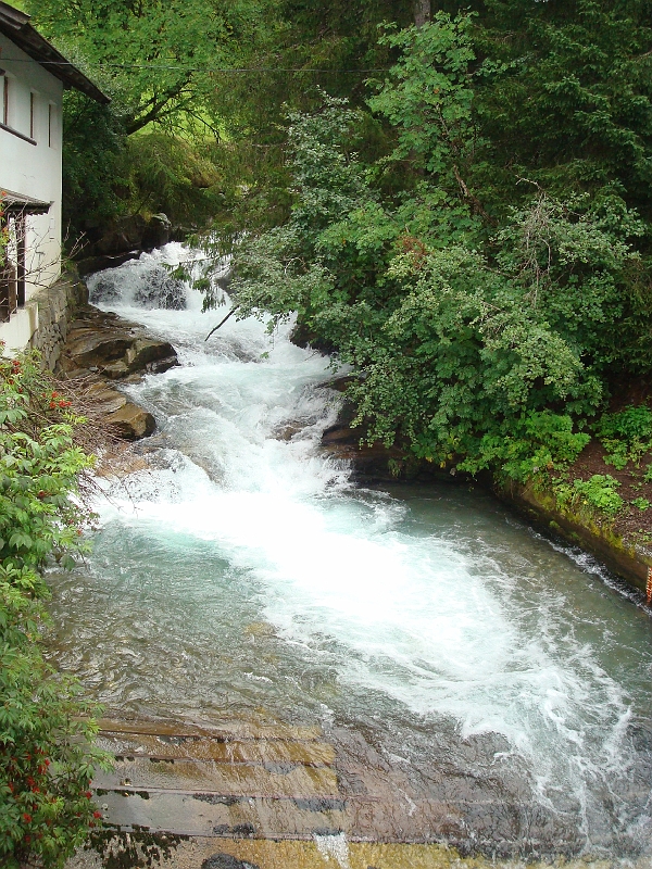 DSC00807