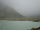 DSC00956
