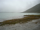 DSC00960