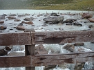 DSC00978