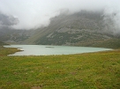 DSC00981