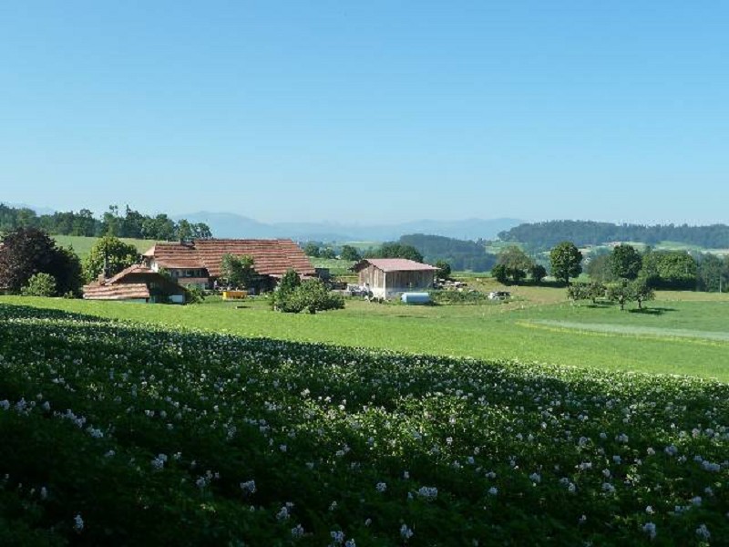 P1070227