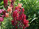 P1070237
