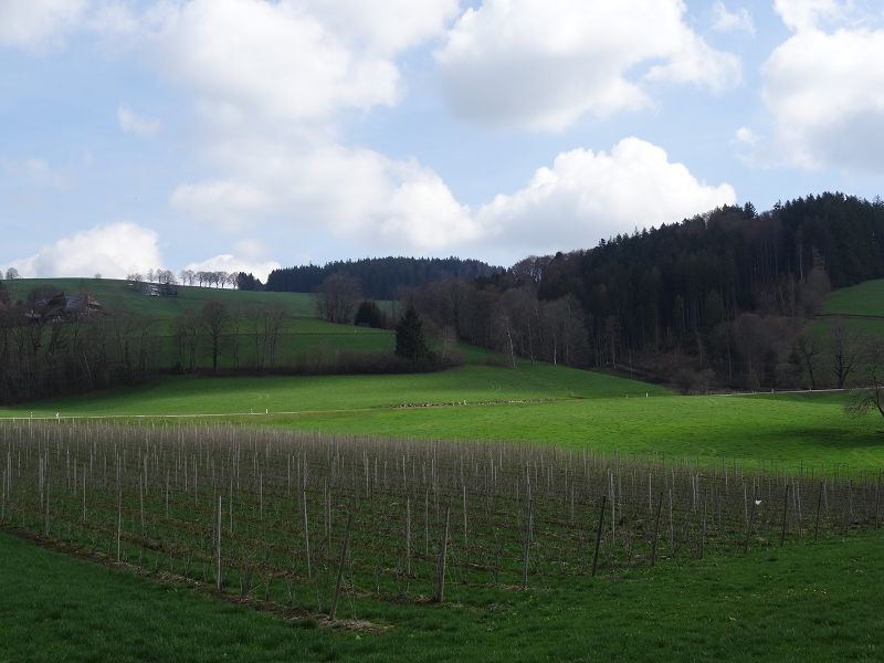 n_Bild (10).jpg