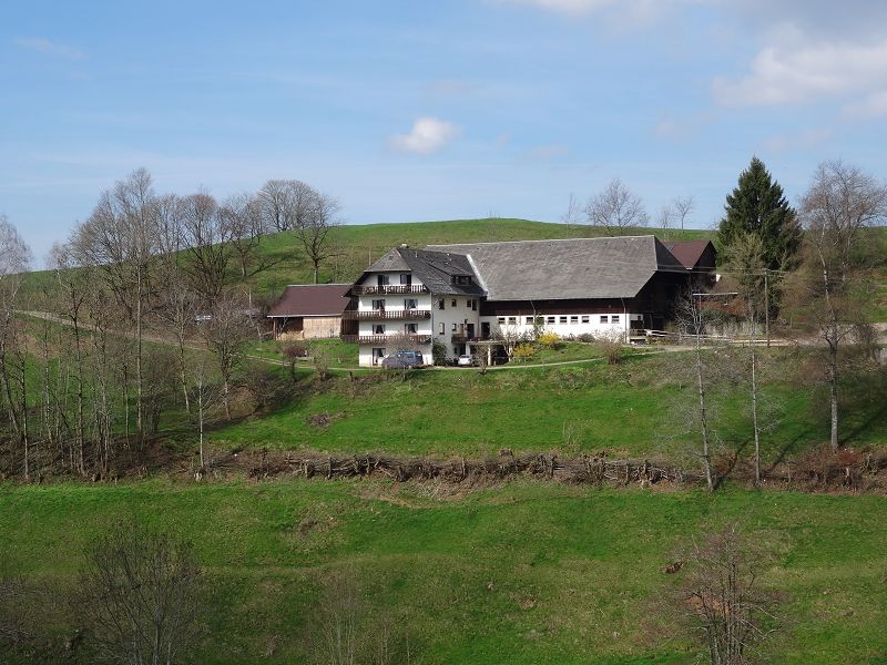 n_Bild (10).jpg