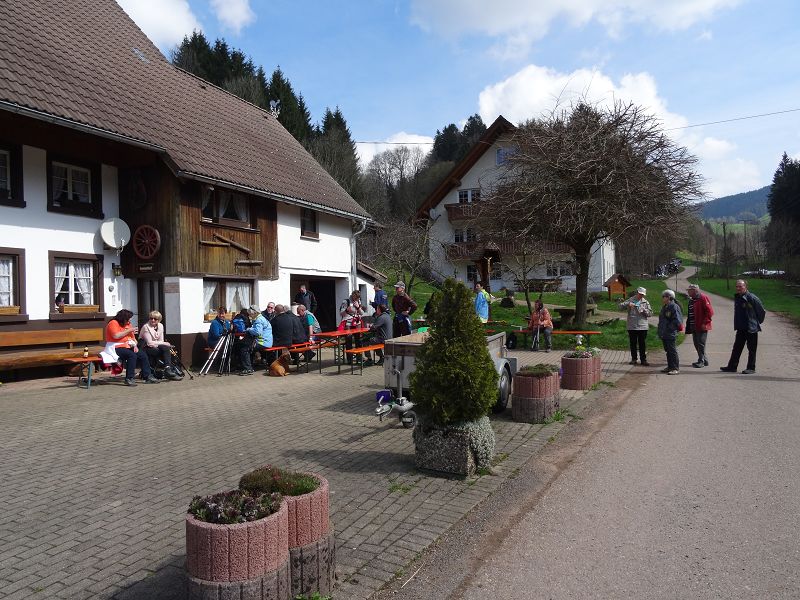 n_Bild (10).jpg