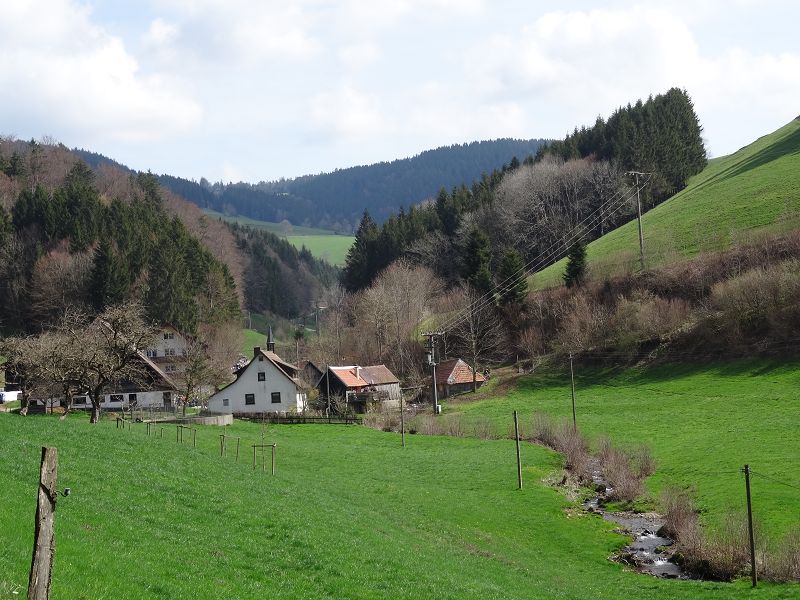 n_Bild (10).jpg