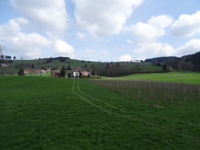 n_Bild (10).jpg