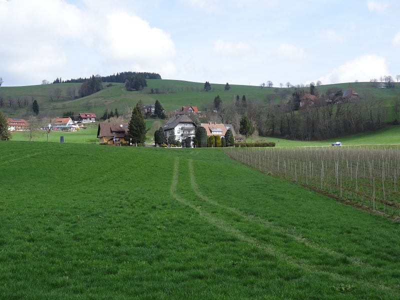 n_Bild (10).jpg