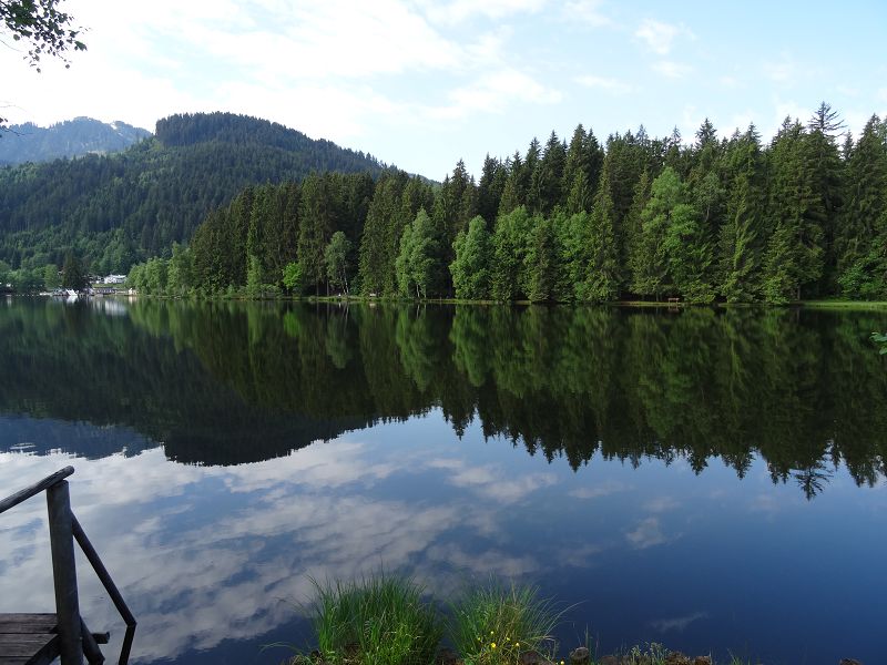 n_Bild (10).jpg