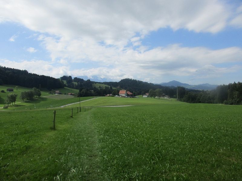 n_Bild (10).jpg