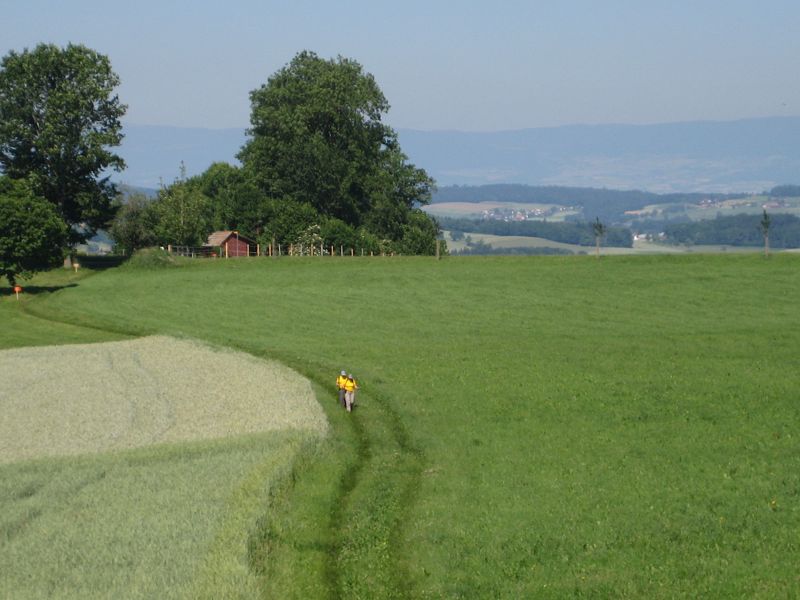 n_Bild (10).jpg