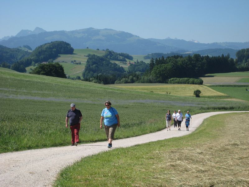 n_Bild (10).jpg