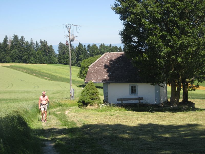 n_Bild (10).jpg