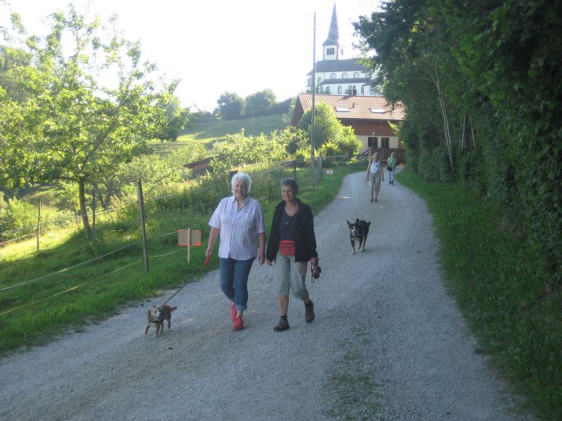 n_Bild (10).jpg