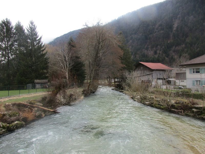 n_Bild (10).jpg