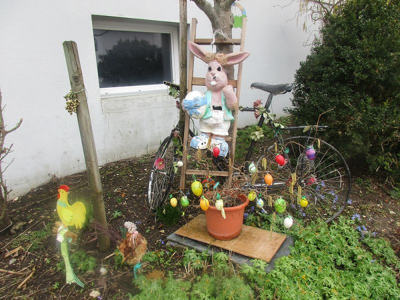 n_Bild (10).jpg