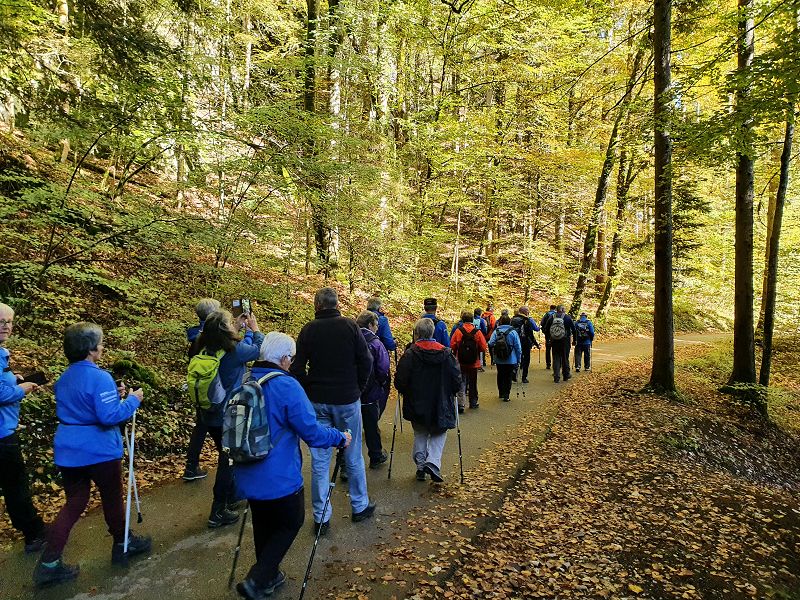 n_Bild (10).jpg