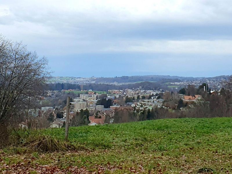 n_Bild (1).jpg