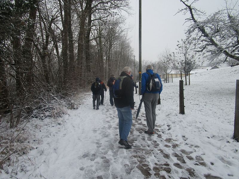 n_Bild (10).jpg