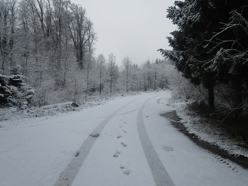 n_Bild (10).jpg