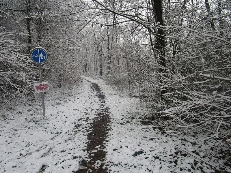 n_Bild (3).jpg