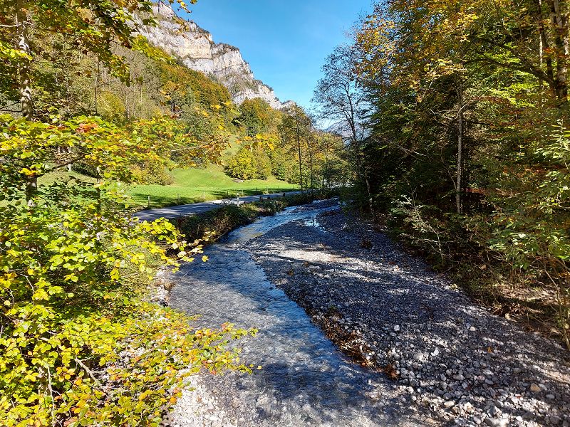 n_Bild (10).jpg