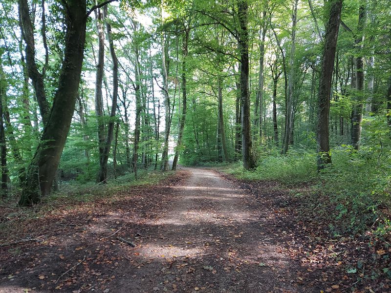 n_Bild (10).jpg