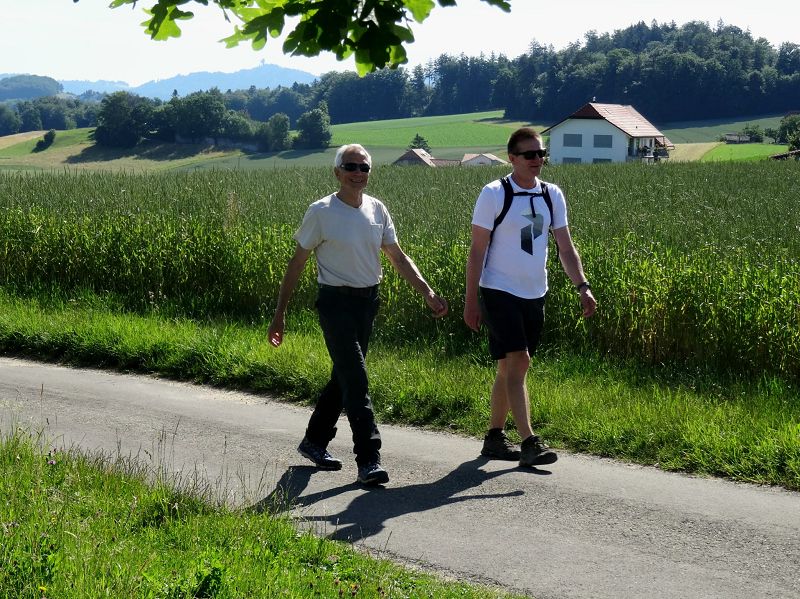 n_Bild (10).jpeg