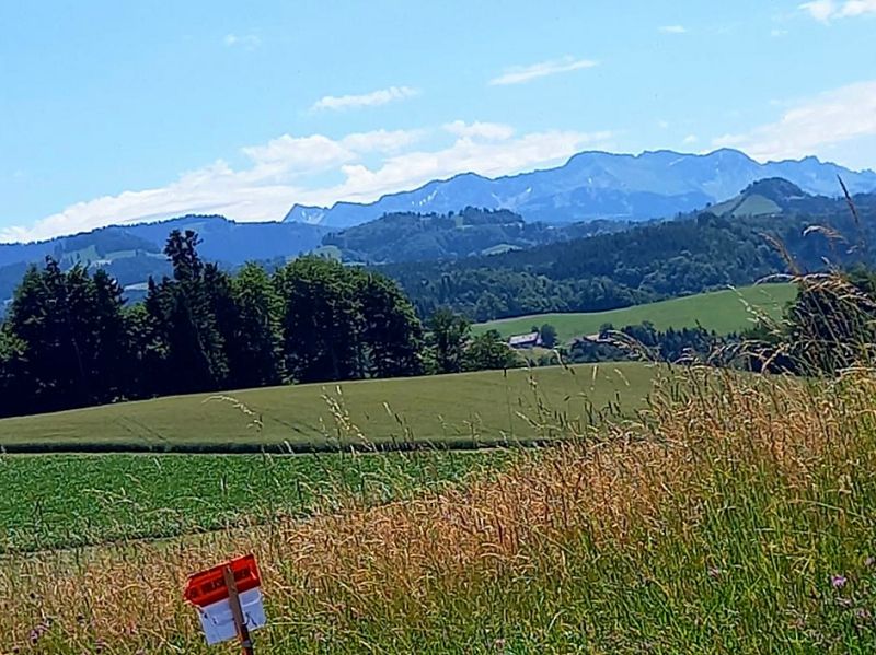 n_Bild (3).jpg