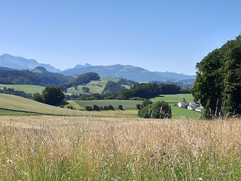 n_Bild (10).jpg