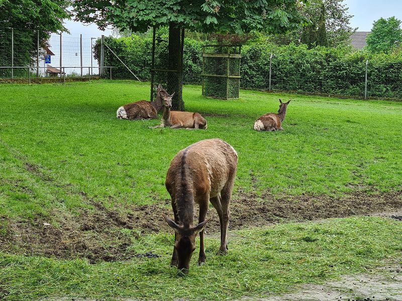 n_Bild (10).jpg