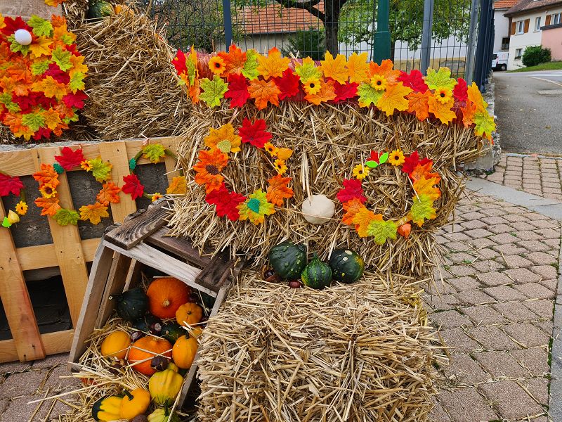 n_Bild (10).jpg