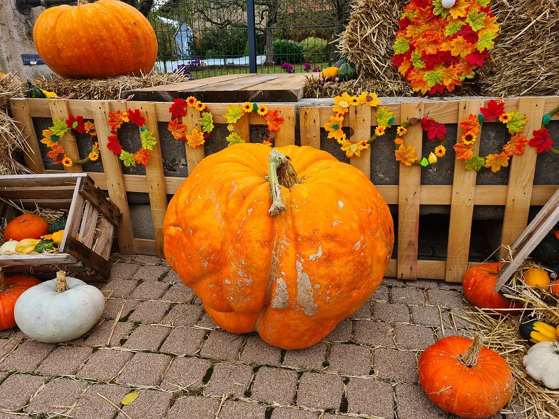 n_Bild (10).jpg