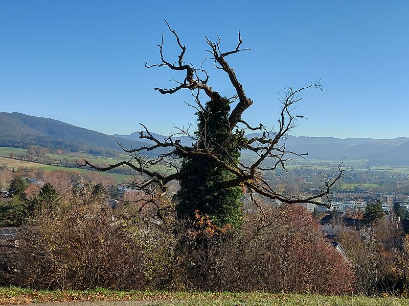 n_Bild (10).jpg
