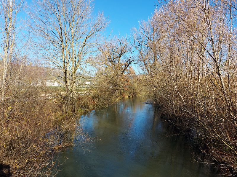 n_Bild (10).jpg