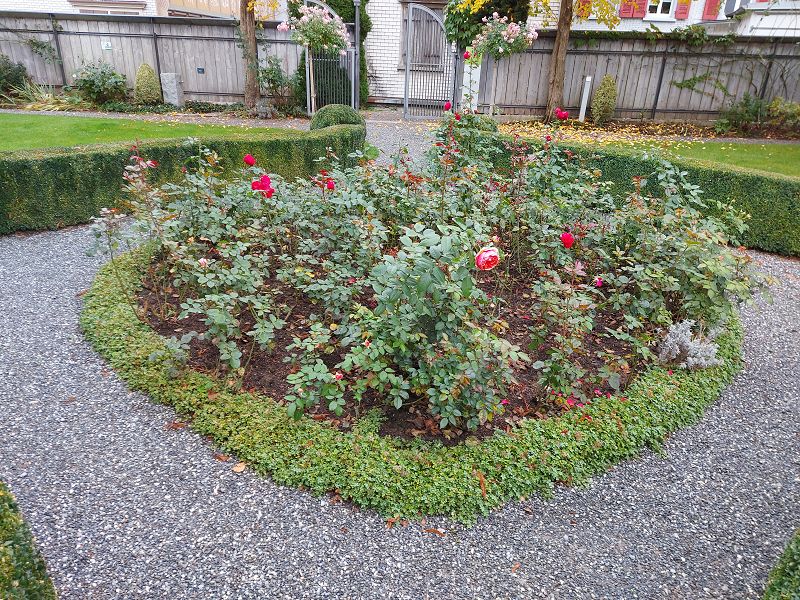 n_Bild (10).jpg