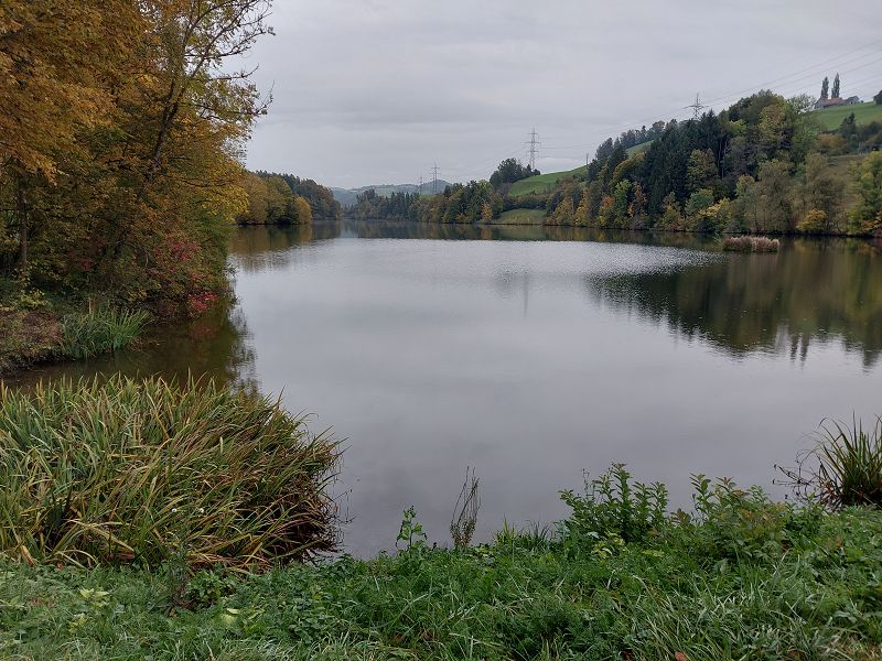 n_Bild (10).jpg