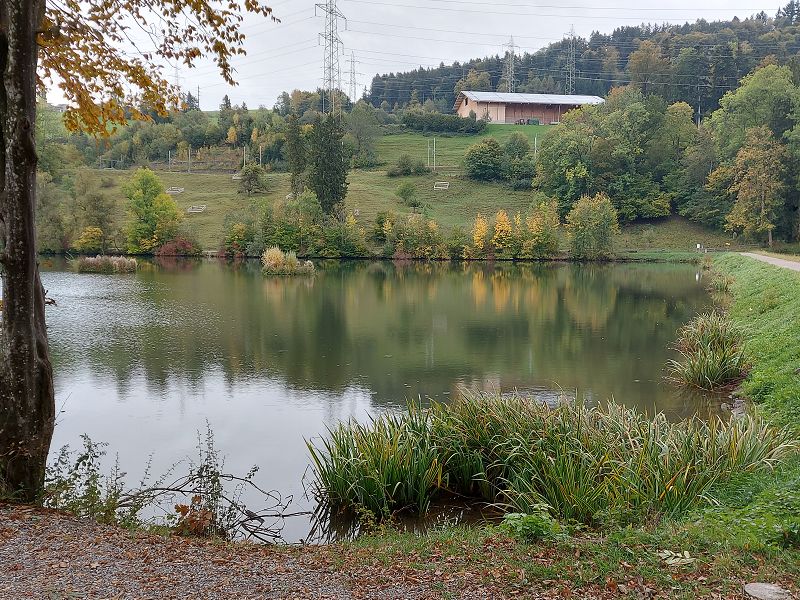 n_Bild (10).jpg