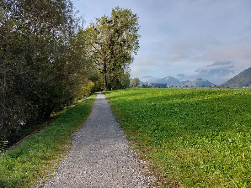 n_Bild (10).jpg