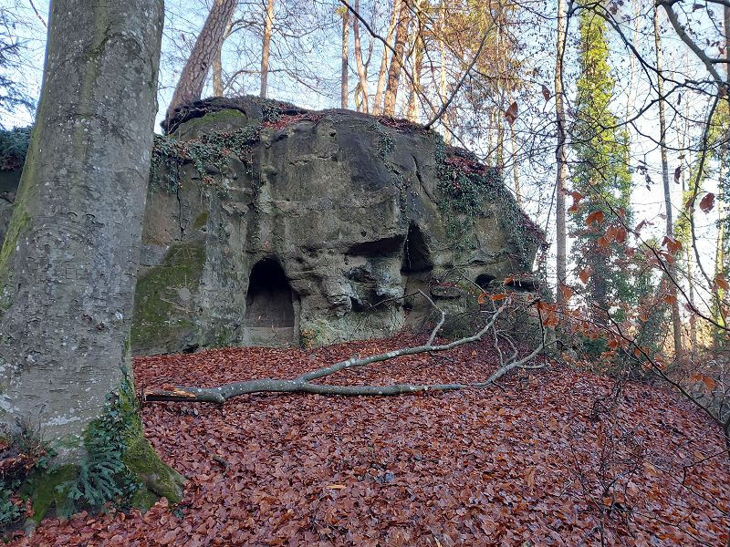 n_Bild (10).jpg
