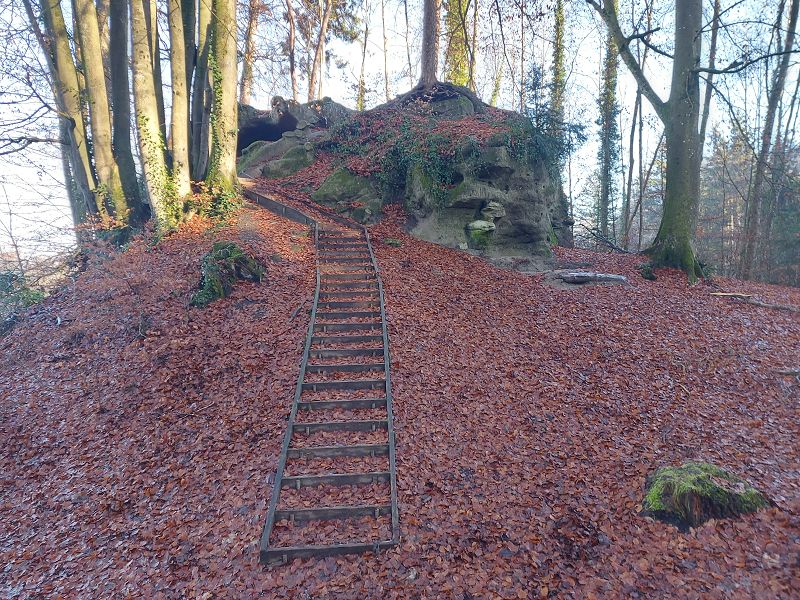 n_Bild (10).jpg