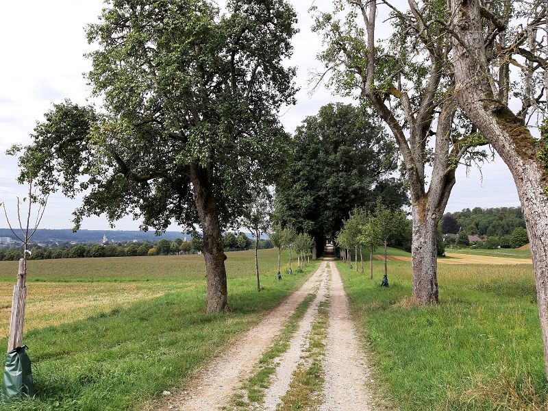 n_Bild (10).jpg